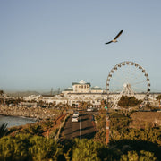 Waterfront Houseboats